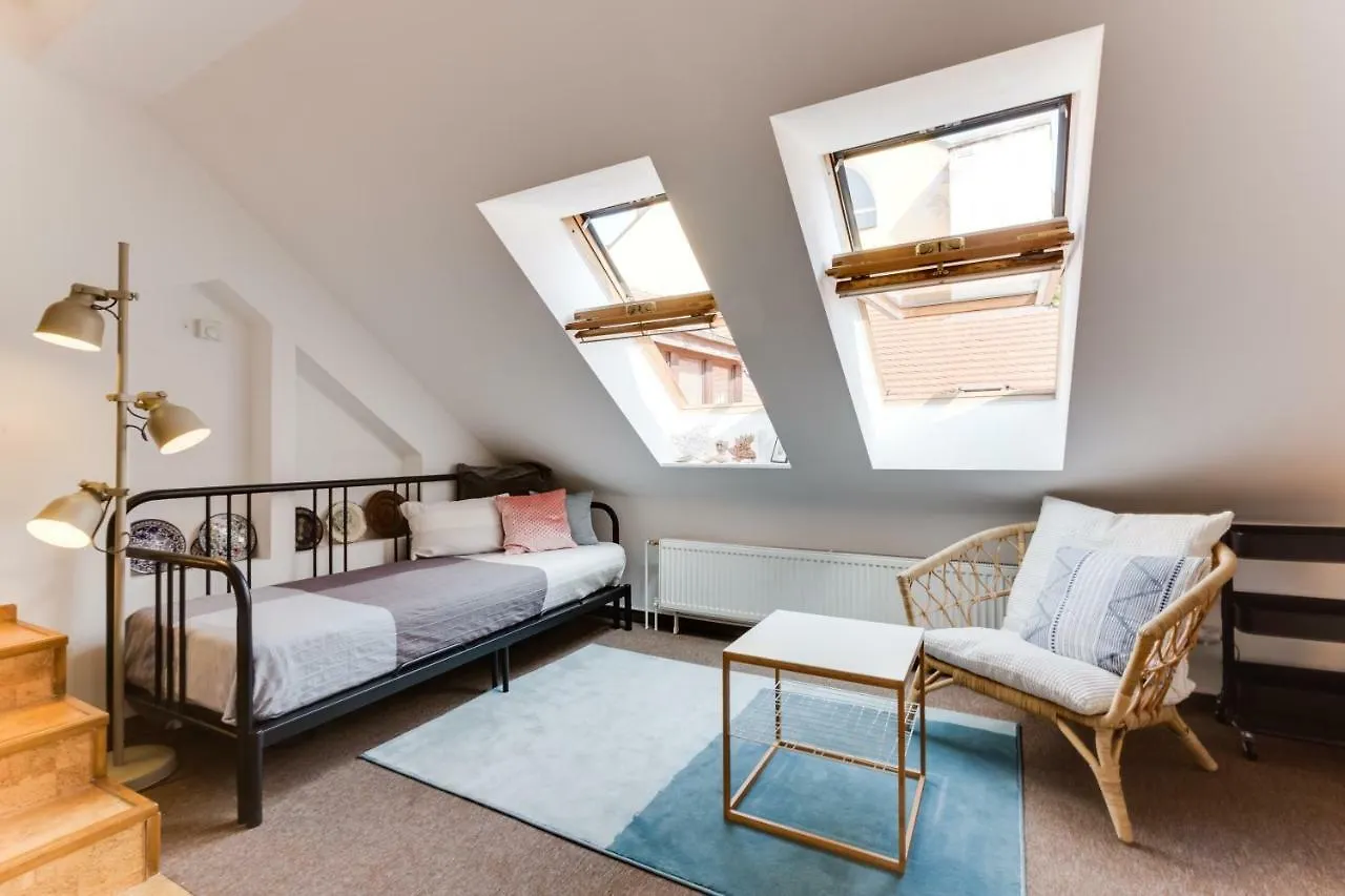 Charles Bridge Loft Appartement Praag