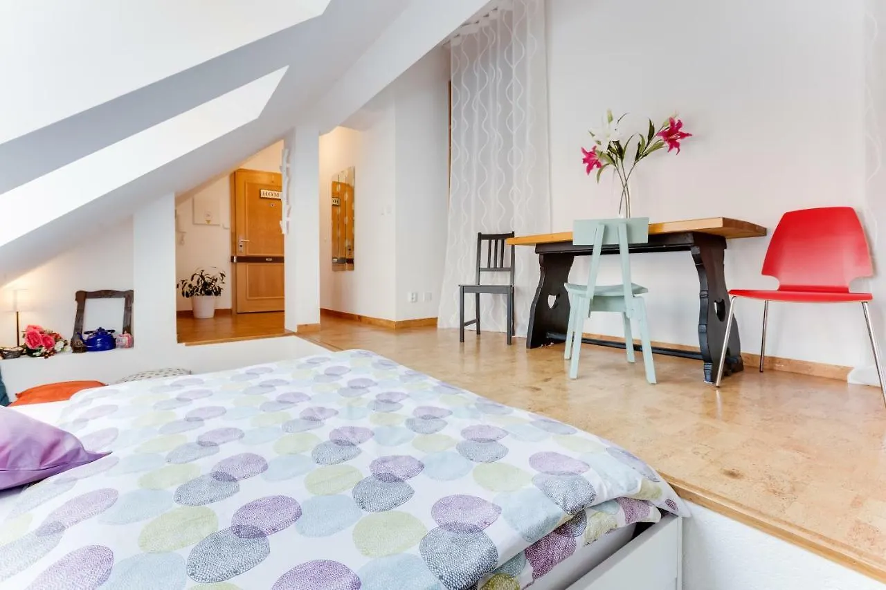 Charles Bridge Loft Appartement Praag